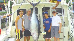 250lb yellow fin tuna